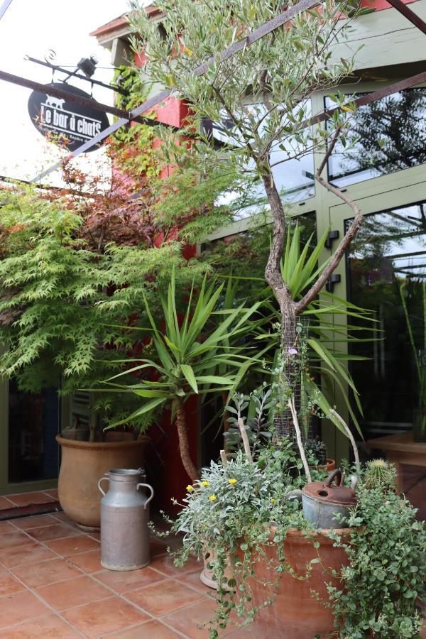 Grand Loft De Charme, Place Du Village A チュイル エクステリア 写真